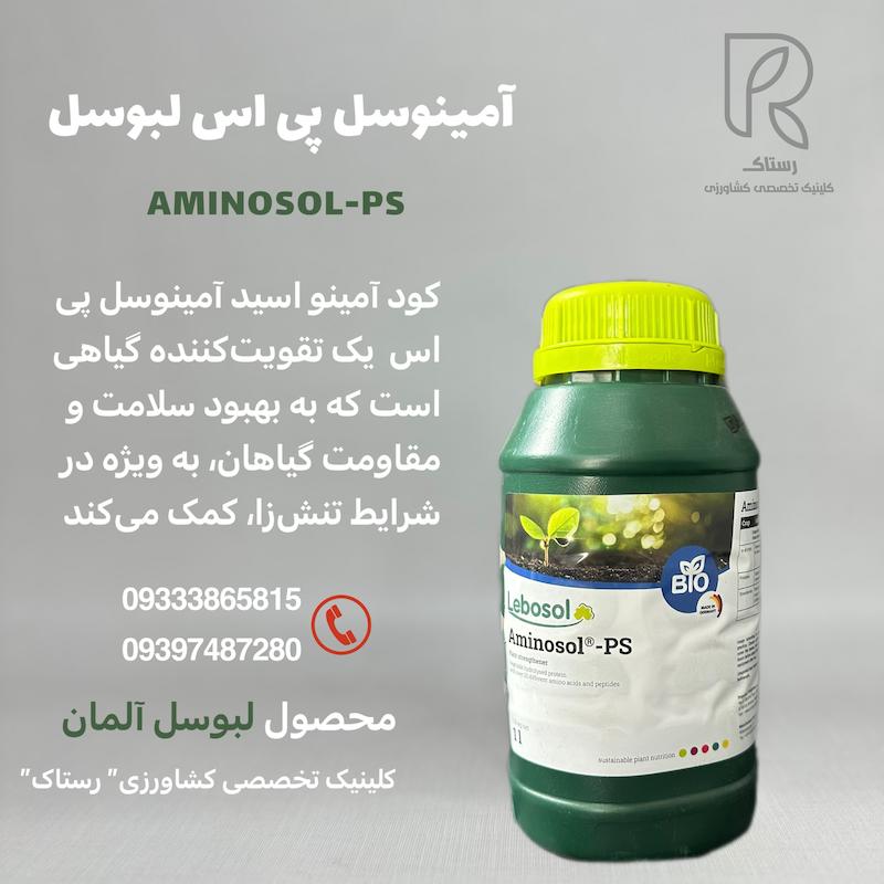 آمینواسید امینوسل پی اس لبوسل
