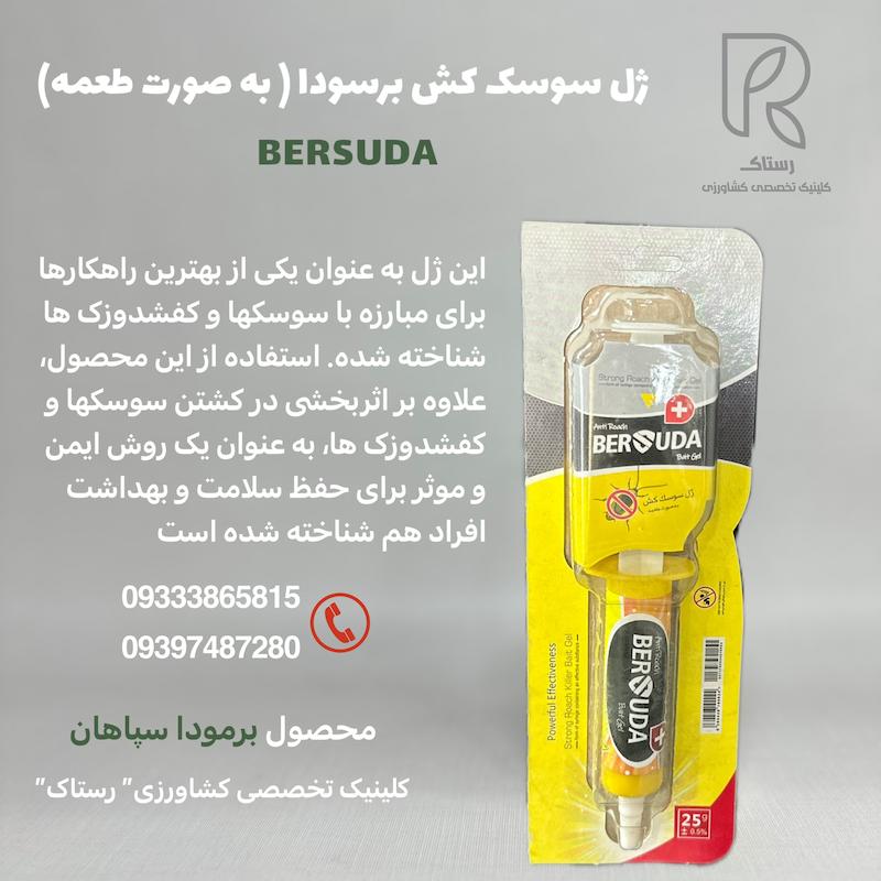 ژل سوسک کش برسودا 