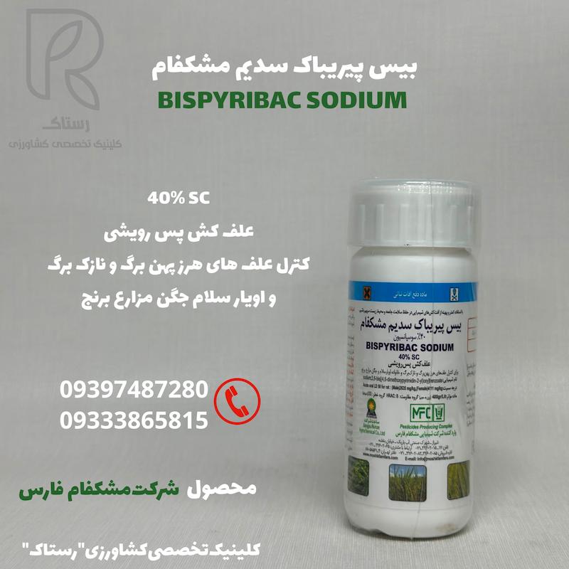 بیس پیریباک سدیم 