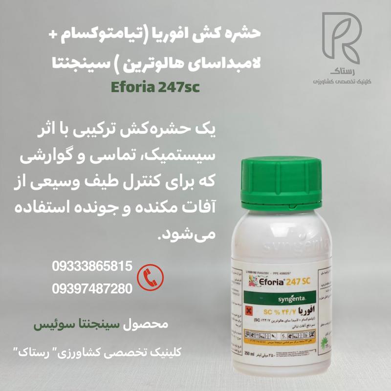  حشره کش افوریا (تیامتوکسام + لامبداسای هالوترین ) سینجنتا  ۲۵۰ سی سی
