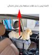 باکس سگ و گربه مخصوص کنسول خودرو 