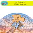 پازل 113 تکه چوبی آردوج مدل آزادی