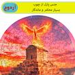 پازل 113 تکه چوبی آردوج مدل مقبره کوروش