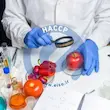 گواهینامه HACCP (تحلیل خطرات و نقاط کنترل بحرانی)