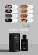 ادوپرفیوم مردانه DARK HORSE