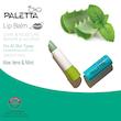 بالم لب پالتا مدل Aloevera And Mint