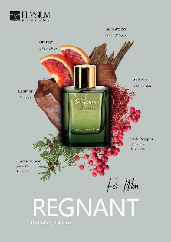 ادوپرفیوم باستیان مدل REGNANT با رایحه خنک حجم 100 میلی‌لیتر