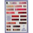 لاک ژل 10 میل تی تی نی (TTNI) شماره 032
