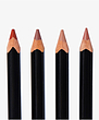 خط لب مینی سایز آناستازیا رنگ بندی ANASTASIA BEVERLY HILLS DELUXE MIN LIP LINER 