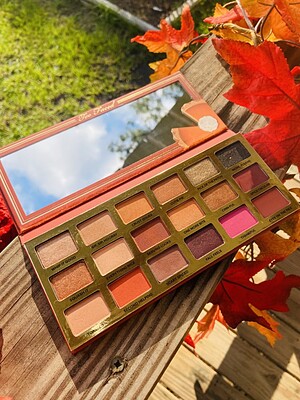 Too Faced Limited Edition Pumpkin Spice Second Slice Sweet and Spicy Eye Shadow Palette پلت سایه پامکین اسپایس توفیسد 