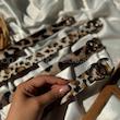 کمربند پلنگی 🐆