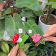 گیره سر عروسکی بافتنی فانتزی 🐸🎀🧚🏻‍♀️🐣🌱✨