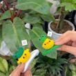 گیره سر عروسکی بافتنی فانتزی 🐸🎀🧚🏻‍♀️🐣🌱✨