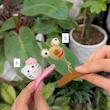 گیره سر عروسکی بافتنی فانتزی 🐸🎀🧚🏻‍♀️🐣🌱✨
