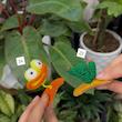 گیره سر عروسکی بافتنی فانتزی 🐸🎀🧚🏻‍♀️🐣🌱✨