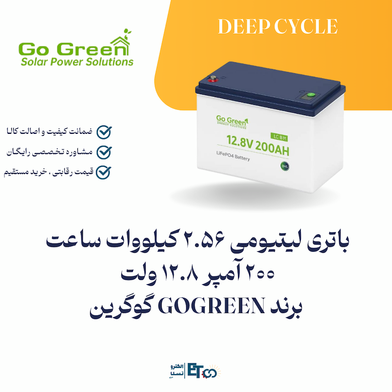 باتری لیتیومی 2.56 کیلووات ساعت  200 آمپر 12.8 ولت   برند GOGREEN گوگرین   | الکترو تسلا انرژی