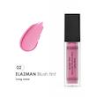 تینت بلاش ELAZMAN کد 02 Dusty Rose