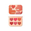 پالت 6 رنگ رژگونه کرمی شیگلم Sheglam Flush Crush Cream Cottage Core Blush Palette