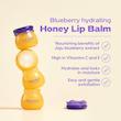  بالم لب بلوبری و عسل فرودیا (Frudia Lip Balm)