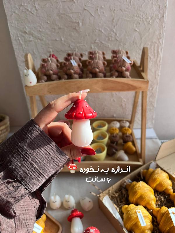 قارچ