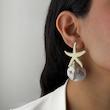 گوشواره ستاره ساحلی پایین صدفی