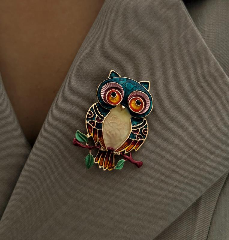گل سینه جغد رنگی