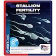 BREEDING  STALLION FERTILITY