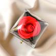 باکس شیشه ای گل رز جاودان