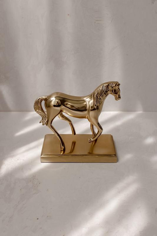 اکسسوری اسب