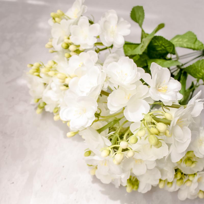 شکوفه گیلاس