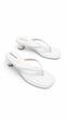 پالوما PALUMA
