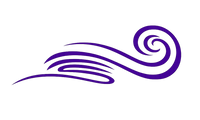 اسین گالری