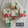 پک کش مینی حوله ای ده عددی