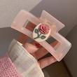 کلیپس ژورنالی پینکی رز