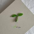 گیره اموجی