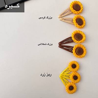 کش و گیره آفتاب گردون 🌻