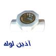 پایین تنه شیر فلكه آذین