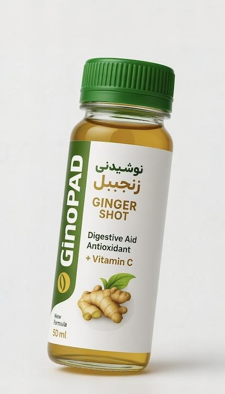  نوشیدنی زنجبیل GinoPAD – بهترین شات زنجبیل طبیعی + ویتامین C | شات زنجبیل برای لاغری، انرژی و تقویت ایمنی، ۱۲ عددی
