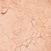 پودر فیکس پرفکت فینیش اینگلوت مدل Perfect Finish Pressed Powder حجم 23 گرم