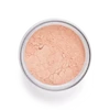 پودر فیکس پرفکت فینیش اینگلوت مدل Perfect Finish Pressed Powder حجم 23 گرم