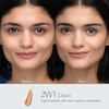 کرم پودر استی لادر مدل Double Wear رنگ Dawn شماره 2W1