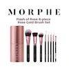 ست برس آرایشی مورفی مدل Flash Of Rose مجموعه 8 عددی