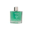 ادو پرفیوم مردانه اسمارت کالکشن شماره 489حجم 100ml