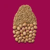 شامپو نرم‌ کننده و درخشان‌ کننده مو او جی ایکس, مدل Keratin Oil مناسب انواع مو به‌ ویژه آسیب‌دیده و ضعیف حجم 385ml