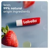 بالم لب لبلو مدل Straw Berry حجم 4.8g
