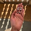 گوشواره‌ی لاوان 