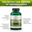 آشواگاندا سوانسون 100عددی– Swanson Ashwagandha