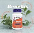 کیوتن 50میلی گرم ناوفودز 50عددی--CoQ10 50mg Nowfoods