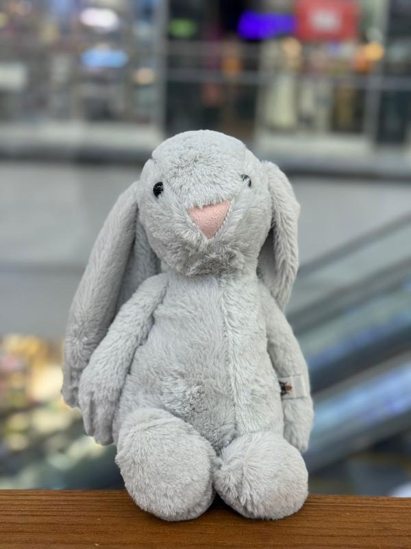 خروگوش سایز متوسط