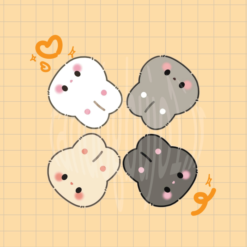 خرگوش ها 🐇